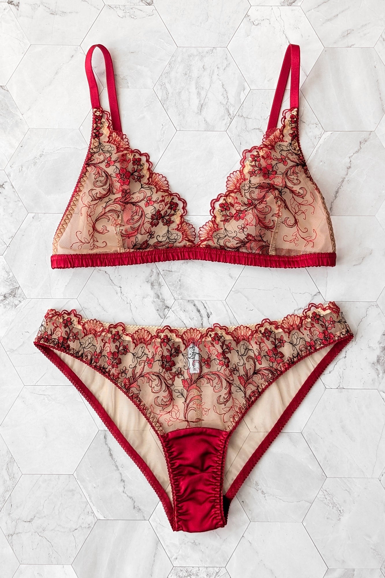 Luxury lingerie set including a triangle bra with red straps and a pair of embroidered mesh underwear with red silk trims