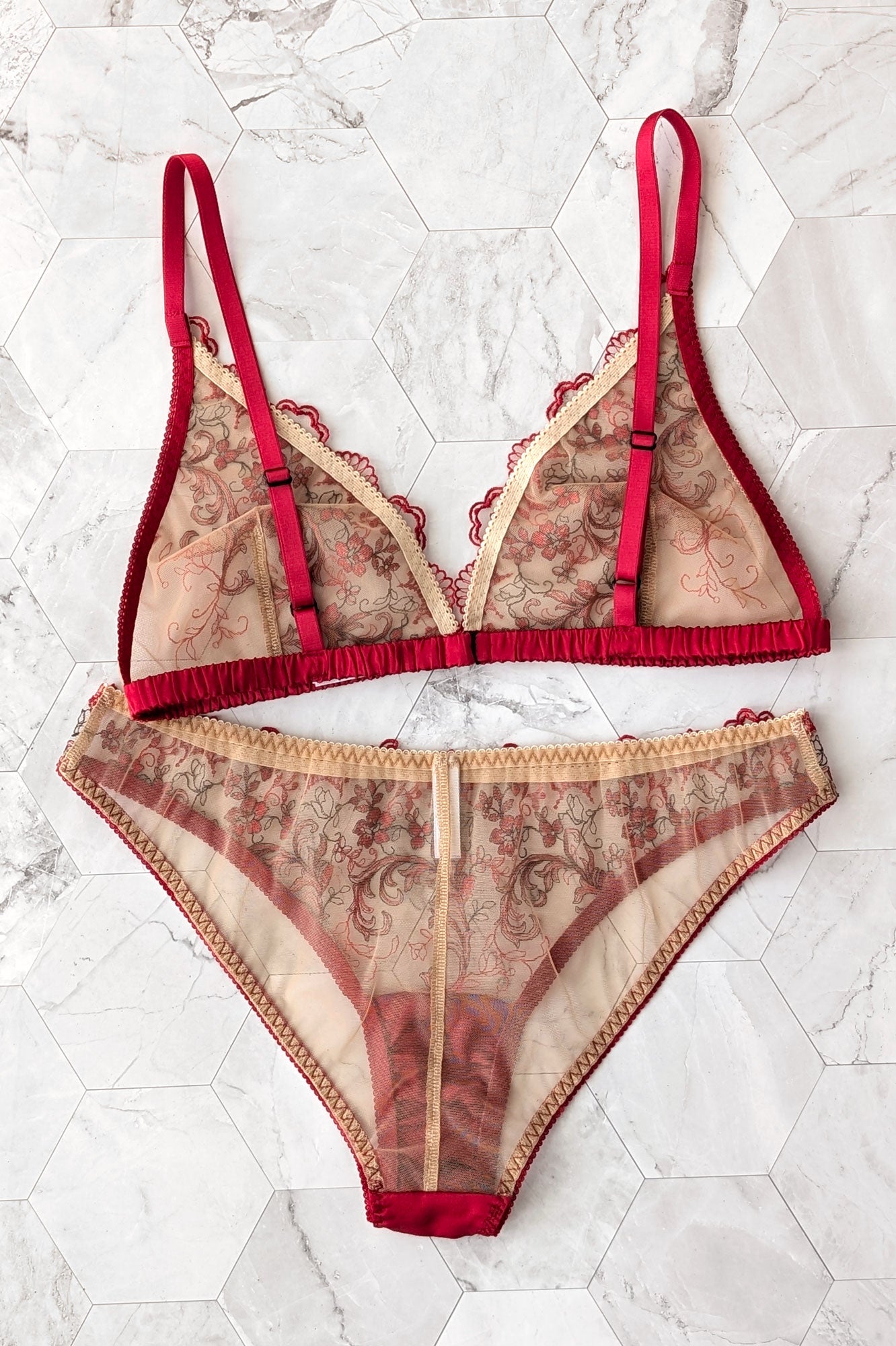 Angela Friedman lingerie set with a pair of low rise knickers in sheer mesh and a red silk bralet