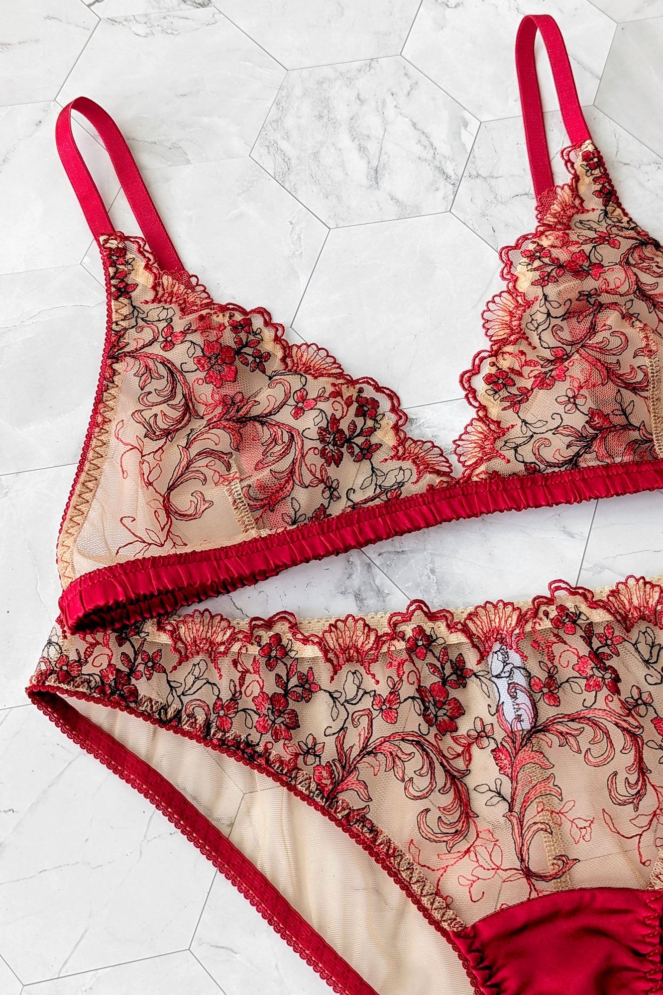 Vintage inspired lingerie set including a red lace bra and sheer embroidered panties with red silk gusset