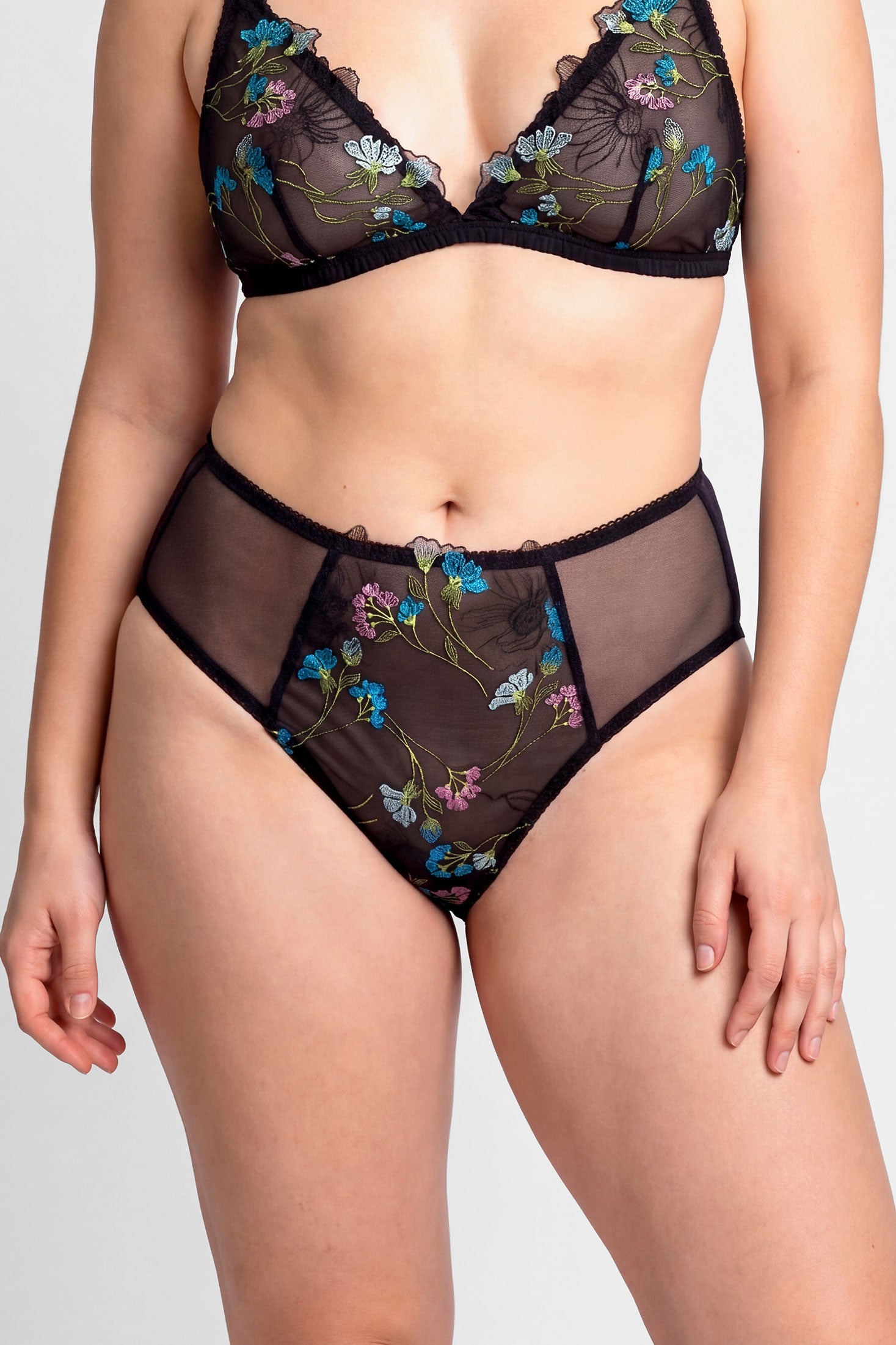 Seraphina high waisted briefs in sheer black mesh with colorful floral embroidery
